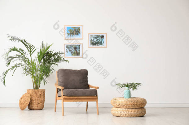 时尚的客厅内部，配有木制扶手椅和靠近白色墙壁的植物。文本<strong>空间</strong>