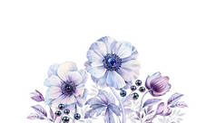 带有黑色珍珠的水彩白色海葵。 手绘现实植物学植物图解。 紫色花束，白色隔离，用于婚礼文具设计，卡片印刷，横幅