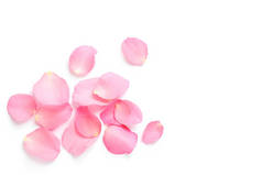 白色背景的新鲜的粉红色玫瑰花瓣，顶视图