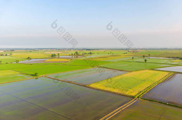 空中: 稻田, 被淹没的耕地农田农村, 农业占领, sprintime 在意大利山麓