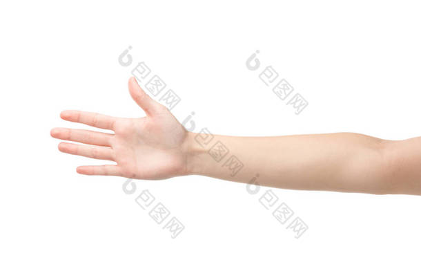 妇女在白色的手掌上被隔离的剪影