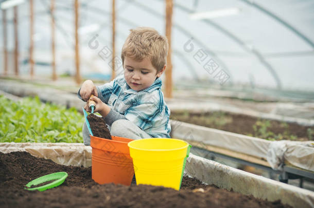 忙碌的孩子用泥土填满橙色和黄色的花盆。在温室里玩铁锹的金发男孩.