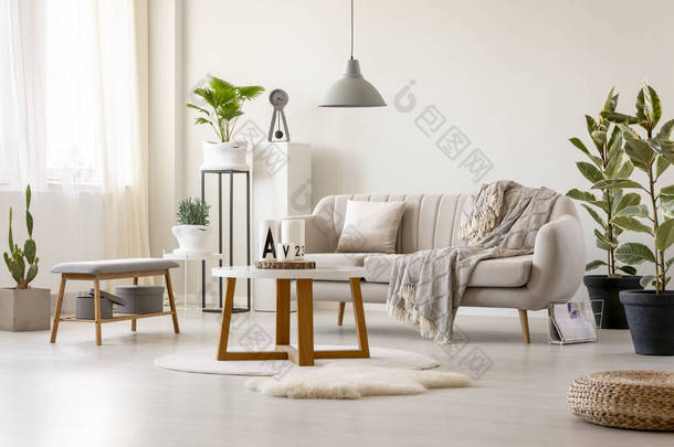 真正的照片, 一个米色的沙发与垫子和毯子站在桌子前, 在一个客厅里的灯在室内与植物和装饰品