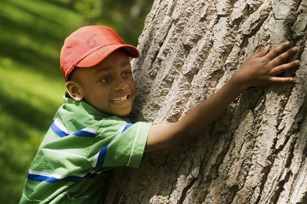 男孩拥抱棵树的树干