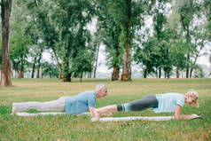 成熟的男人和女人做木板锻炼，而练习瑜伽在瑜伽垫在公园