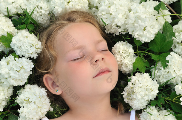小女孩躺在花-雪球