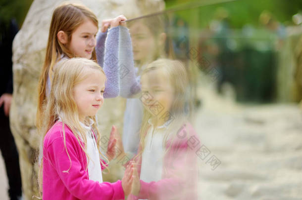 可爱的小女孩在动物园里看动物在温暖和晴朗的夏天天。孩子们透过窗户看动物园里的动物。家庭时间在动物园.
