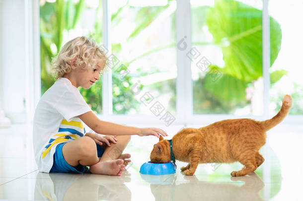 孩子在家喂猫。孩子和宠物。金发碧眼的小男孩在窗边的白色厨房里和小猫玩耍。家养动物和儿童宠物。猫的<strong>食物</strong>和饮料。孩子们喂猫. 