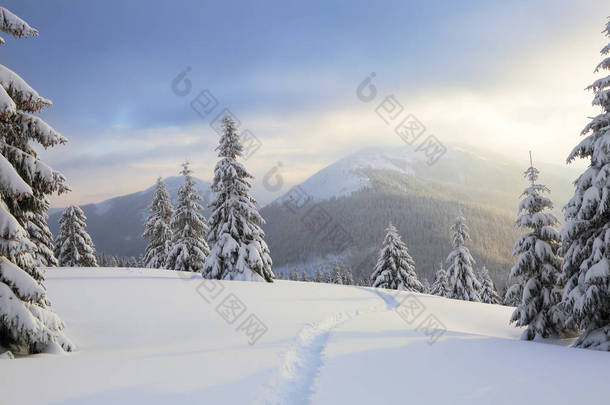 寒冷的冬日风景<strong>优美</strong>。在覆盖着雪的草坪上，有一条小路通向高山，有雪白的山峰，在雪堆里飘着树木。.