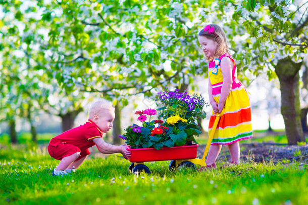 孩子们在花园里盛开的樱花树下