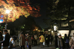 金秋时节的 kodaiji 晚上 