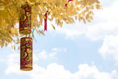 中国许愿树与中国传统的金色鞭炮给你带来好运和幸福。中国新年.