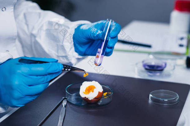 实验室鸡蛋<strong>质量控制</strong>专家检验