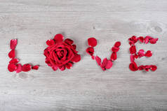 情人节快乐的爱情词与红玫瑰花瓣的概念 