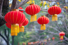 挂在树上的红色中国灯笼