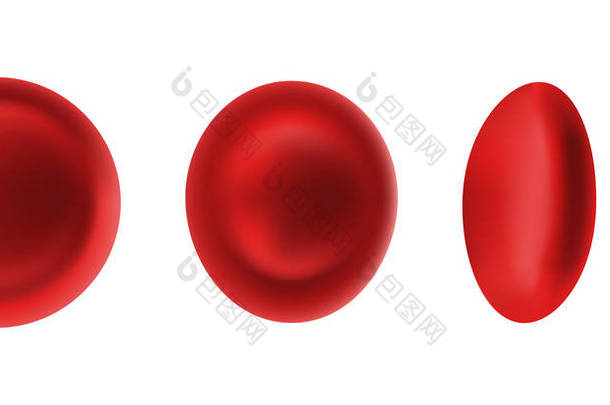 在白色背景上分离的红细胞或红血球, 用于精灵片动画。血红蛋白的3d 现实载体图片为血液学, 微生物学健康人例证