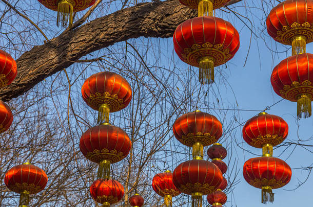 在<strong>中国</strong>北京，一条以蓝天为背景的<strong>街道</strong>上，几盏红色的<strong>中国</strong>灯笼