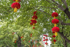 中国传统红灯笼装饰在树上