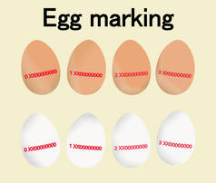 鸡蛋标记，设置不同类别的鸡蛋代码。有关食品生产和原产地规定的红色代码或标志.分离的病媒.