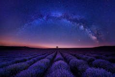 保加利亚，一个美丽的繁茂的薰衣草地上方，有着银河银河的迷人的夜景