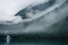 高山小溪流经森林，流入高山湖中。多雾的风景，高山湖泊，低云密林。浓雾中的针叶树的大气景观.