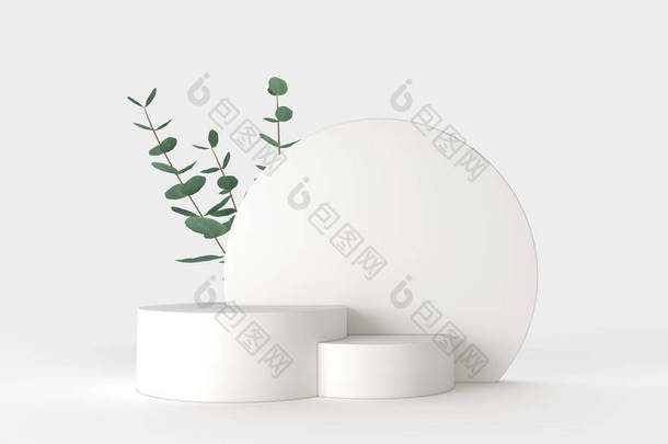 最小的产品展示设计。有绿色桉树叶子的菊花。3D渲染