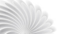 带白色3D花的背景图，有风、柔软质感、覆盖墙纸