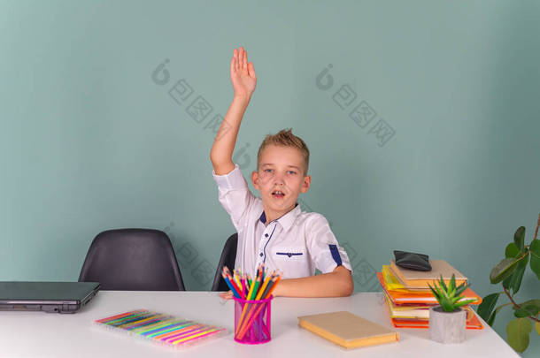 回到学校，快乐的时光！一个可爱的<strong>勤劳</strong>的孩子正坐在学校的桌旁。在课堂上学的男孩