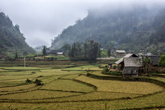 北部山区稻田冬季风景.