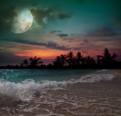 月亮、 海洋和棕榈树