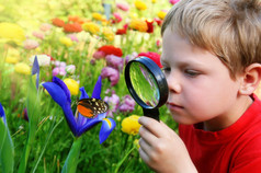 儿童观察一只蝴蝶