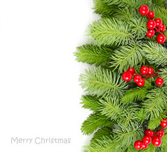 一棵圣诞树和白色背景上的红色浆果的蓬松枝。圣诞节背景以及放置文本的位置。顶视图.