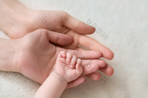在他们手中持有的父亲和母亲小初生婴儿的手