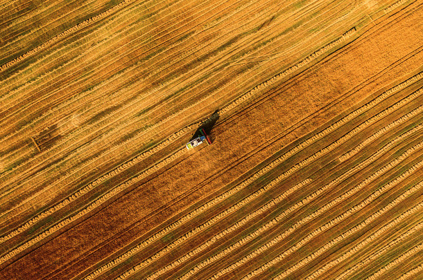 工作场和鬼脸小麦联合收割机。乌克兰。鸟瞰图.