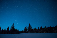 圣诞树的背景下, 繁星满天的冬日。奥斯陆