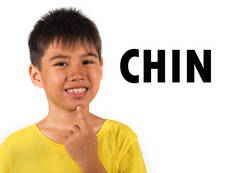 英语学习卡与8岁的孩子用手指指着他的下巴隔离在白色背景作为学校卡的一部分, 一套身体和面部的一部分, 在教育和习语课