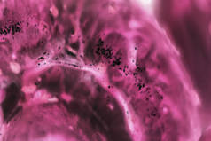 显微镜下的癌细胞。受显微镜下癌细胞影响的组织，科学。癌症药物。化学和生物学.