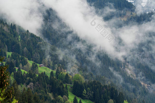 瑞士劳特布伦<strong>宁夏</strong>季有一座房子，山上环境多雾的森林景观