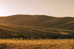 南哈萨克斯坦地区的风景。山保护区博拉尔代在希姆肯特。日落时分的草原植被
