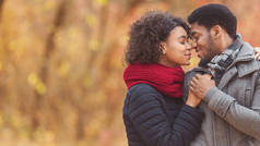 爱情的非洲裔美国夫妇在秋天的公园分享爱情的时刻