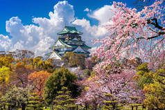 日本大阪的樱花和城堡.