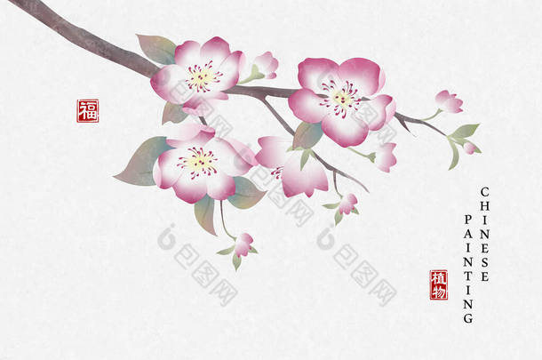 中国水墨画艺术背景植物典雅的桃花.中文译文：植物与祝福.