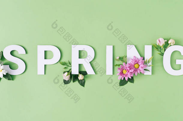 春天的信，白色和粉红色的花与<strong>淡</strong>绿色的背景。最小自然季节概念.