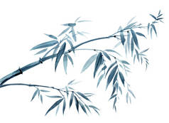 竹子在风中倾斜，水彩画在东方、中国、日本风格的白色背景上，象征着耐力、长寿、幸福.