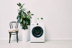 靠近洗衣机的绿色植物，瓶子靠近椅子，还有毛巾 