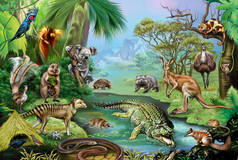 澳大利亚的各种动物。描述了不同种类的哺乳动物和爬行动物在其自然栖息地中的情况