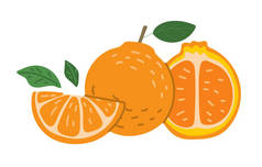 橙子和橙子片