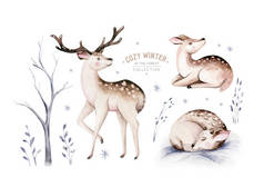 水彩鹿与小鹿，兔子，鸟类隔离在白色背景。野生森林动物集合体。手绘冬季插图