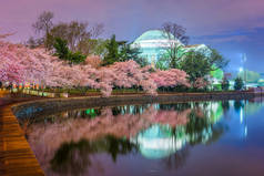 华盛顿的杰斐逊纪念馆，春天从潮汐盆地开始.