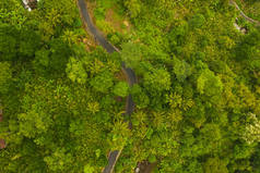 穿越茂密的绿色丛林的沥青路面顶部向下俯瞰，蜿蜒曲折的乡间小路穿过热带雨林
